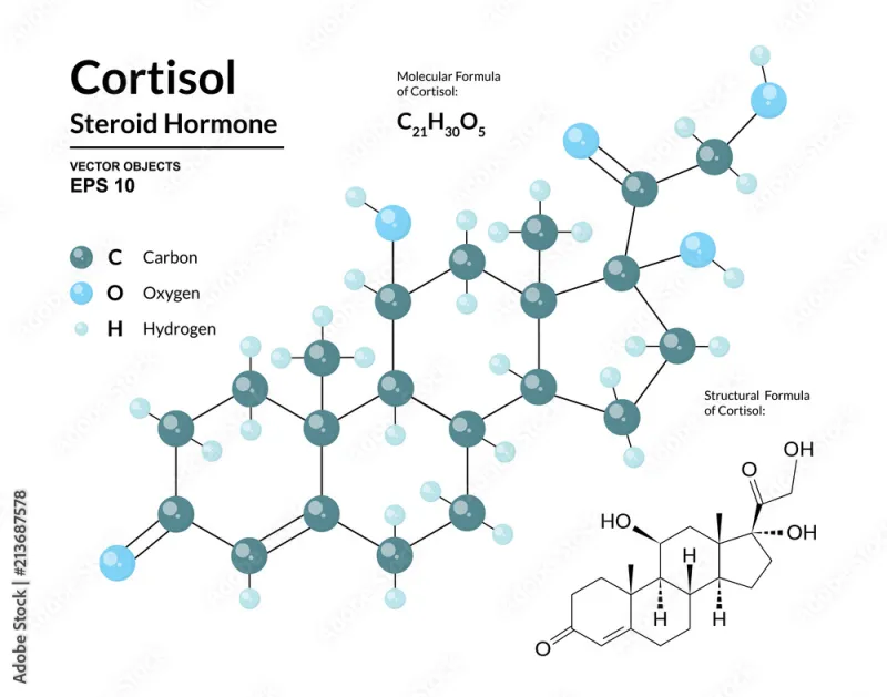 One Carbon, Profound Consequences: The Biochemical Power of Steroid Methylation